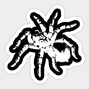 Spider Tarantula Sticker